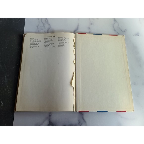 We Learn To Play - Picture 8 of 10